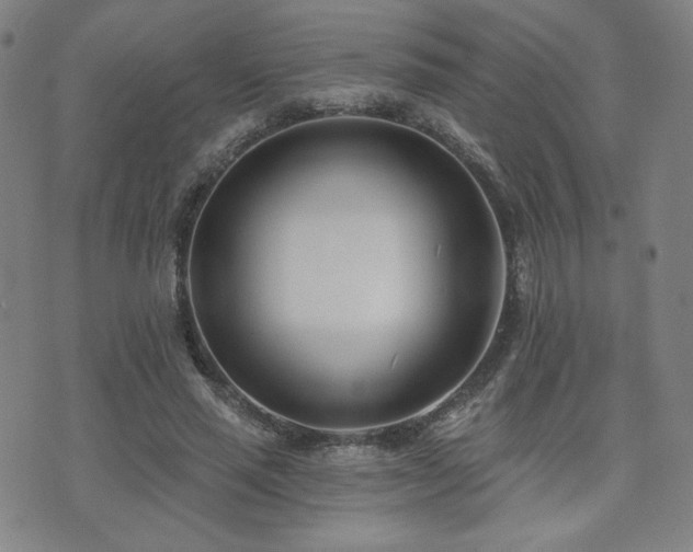 X0000072490637200607141105
