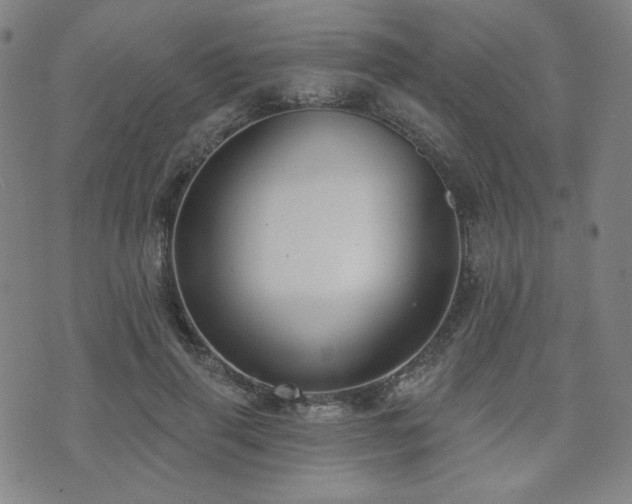X0000072490645200607141106