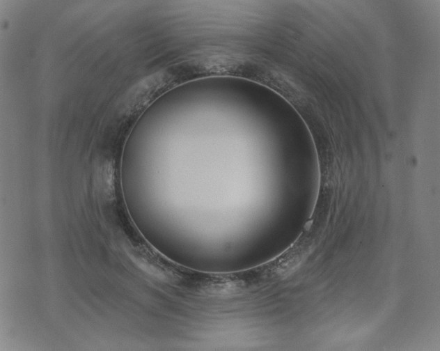 X0000072490646200607141106