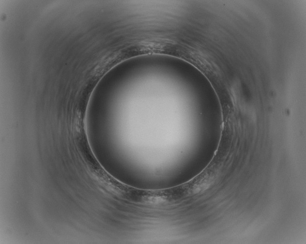 X0000072490649200607141106