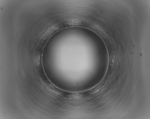 X0000072490652200607141106