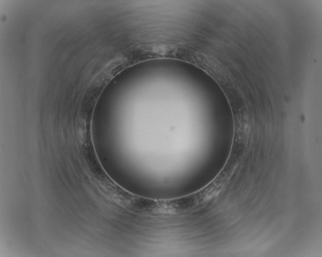 X0000072490656200607141106
