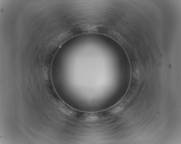 X0000072490658200607141106