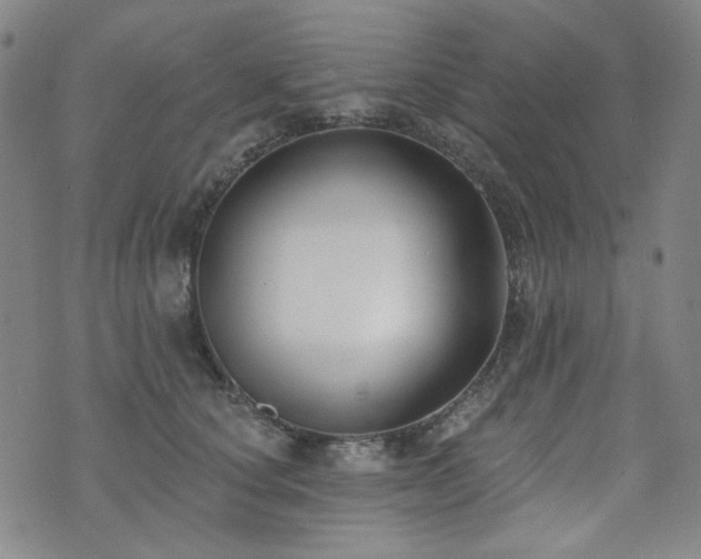 X0000072490660200607141106