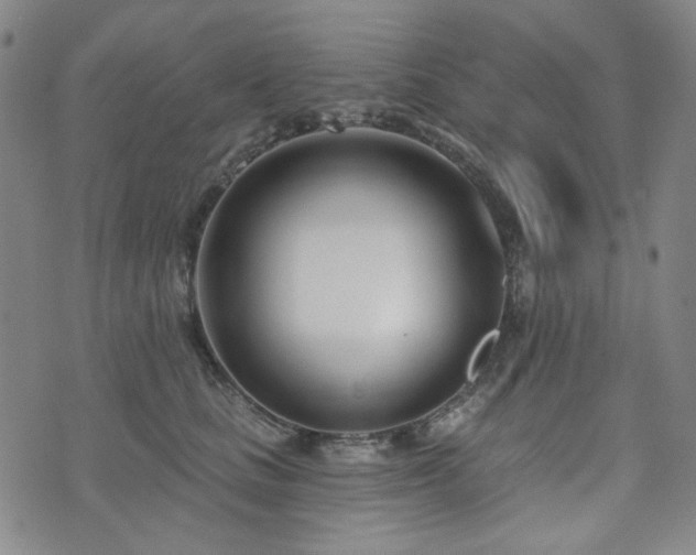X0000072490661200607141106