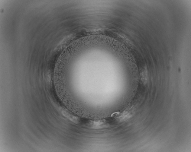 X0000072490662200607141106