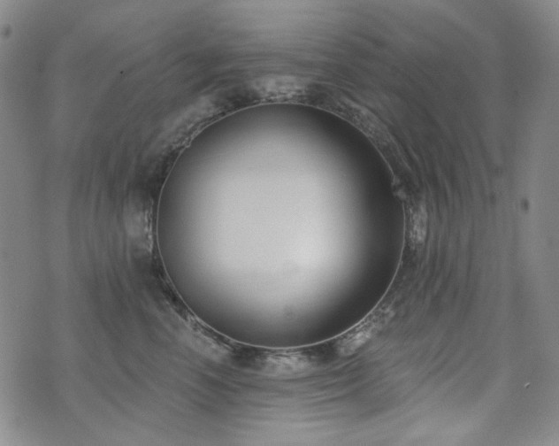 X0000072490666200607141106