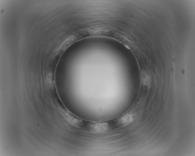 X0000072490670200607141106