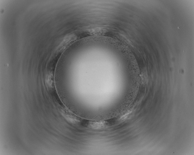 X0000072490671200607141106