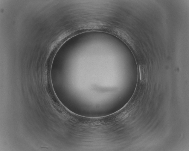 X0000072490675200607141105