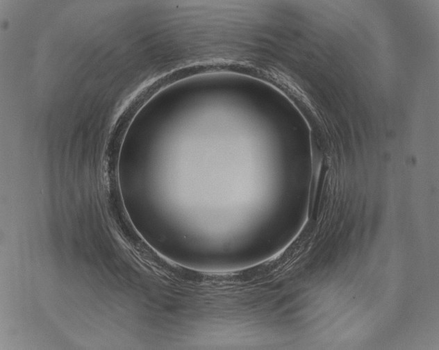X0000072490676200607141105