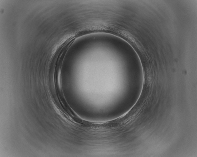 X0000072490677200607141105