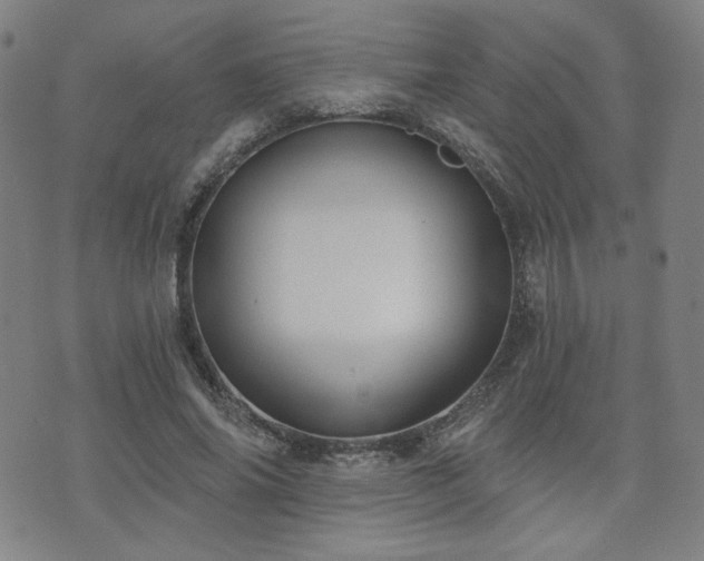 X0000072490686200607141105