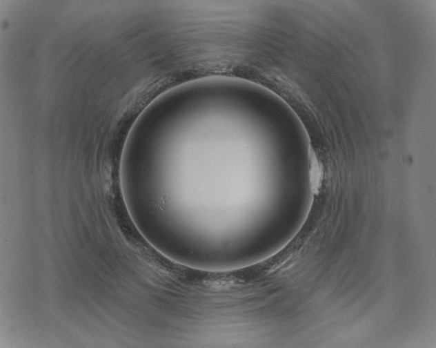 X0000072490693200607141105