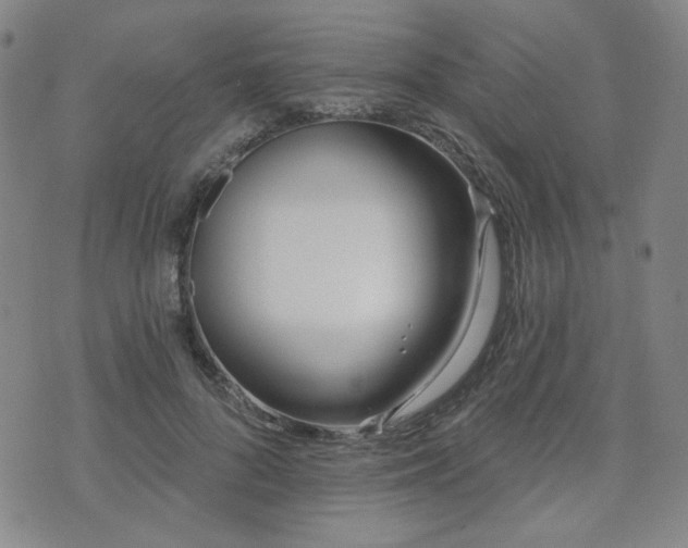X0000072490696200607141105