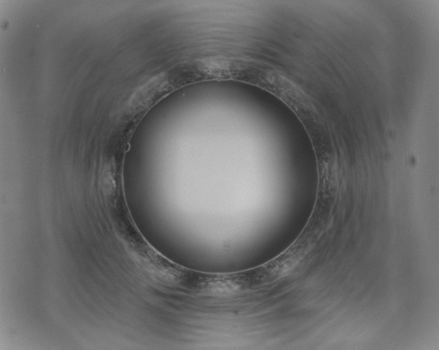 X0000072490702200607141105