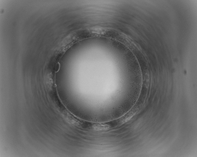 X0000072490707200607141105