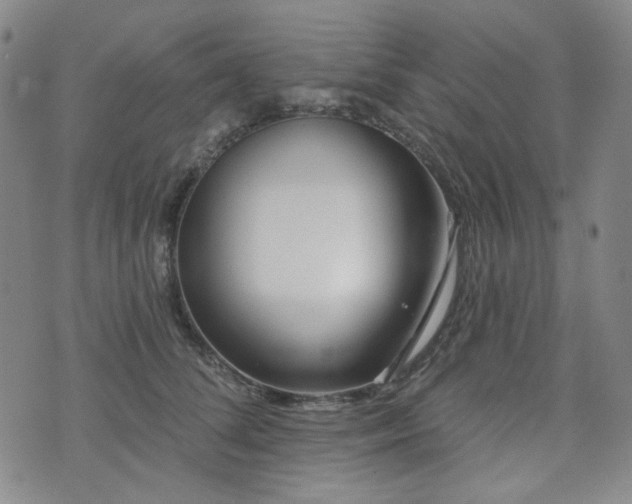 X0000072490708200607141105