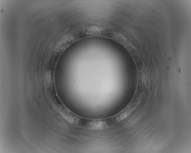 X0000072490711200607141105