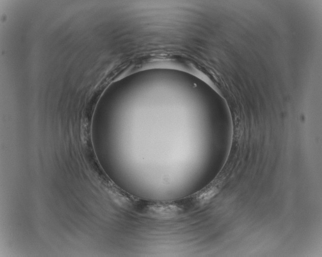 X0000072490712200607141105