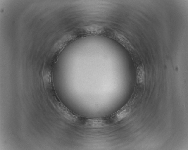 X0000072490713200607141105