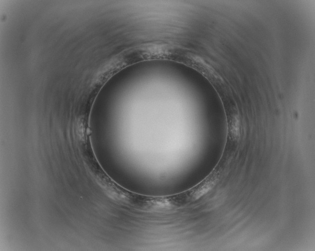 X0000072490715200607141105
