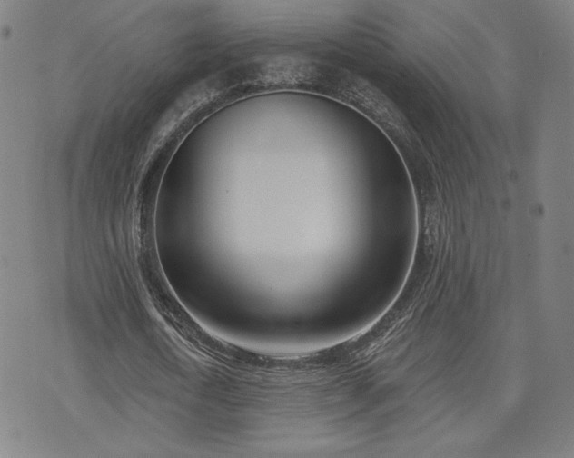 X0000072490722200607141104