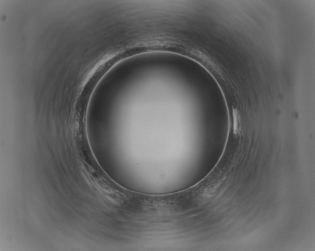 X0000072490723200607141104