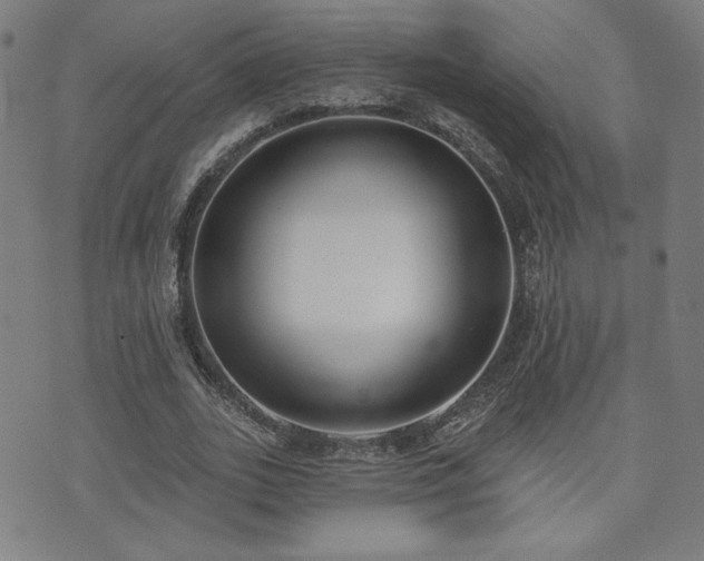 X0000072490727200607141104