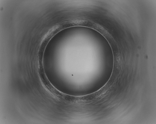 X0000072490734200607141104