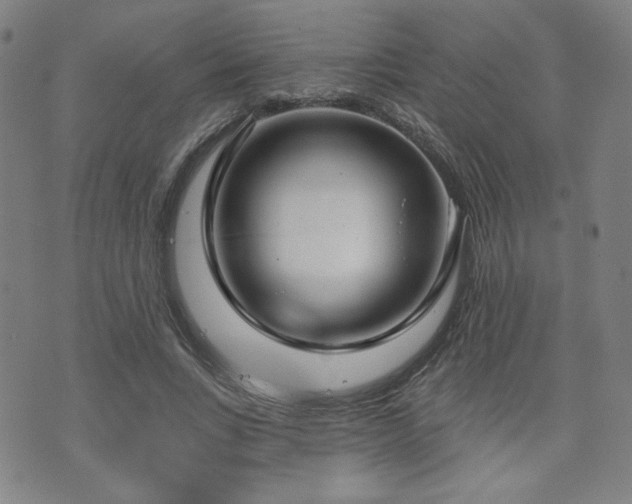 X0000072490735200607141104