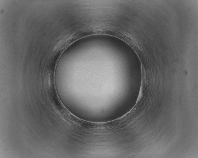 X0000072490740200607141104