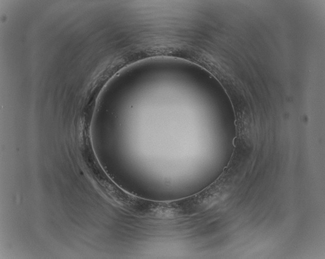 X0000072490742200607141104