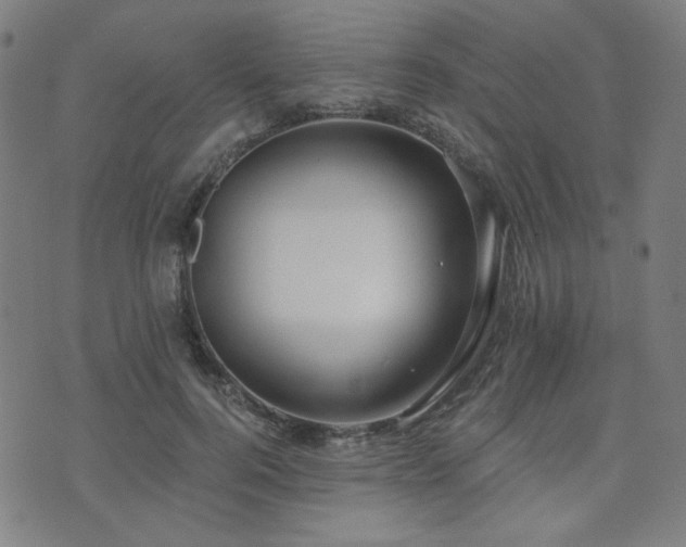 X0000072490744200607141104
