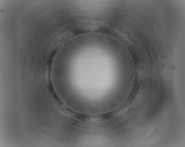 X0000072490745200607141104
