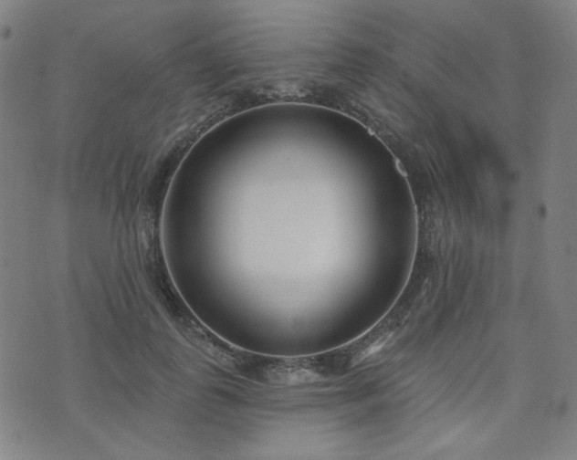 X0000072490747200607141104
