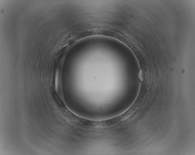 X0000072490750200607141104