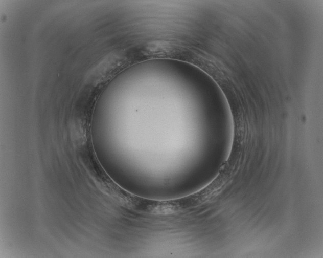 X0000072490751200607141104