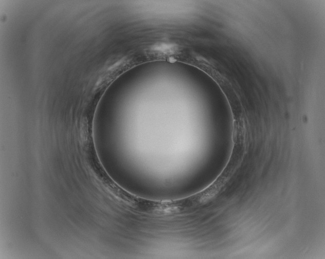 X0000072490760200607141104