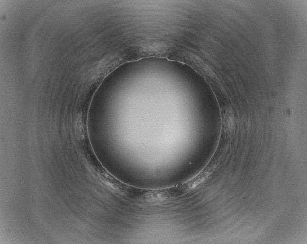 X0000072490764200607141104