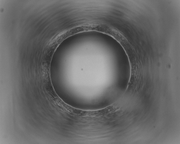 X0000072490773200607141104