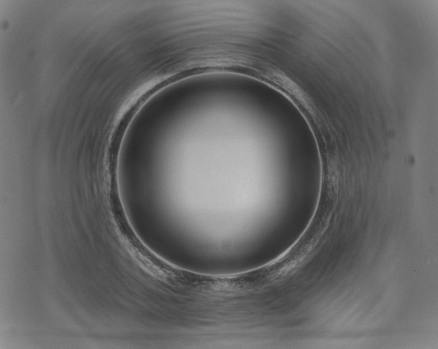 X0000072490787200607141103