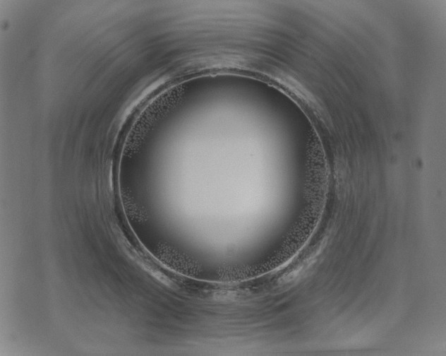 X0000072490790200607141103
