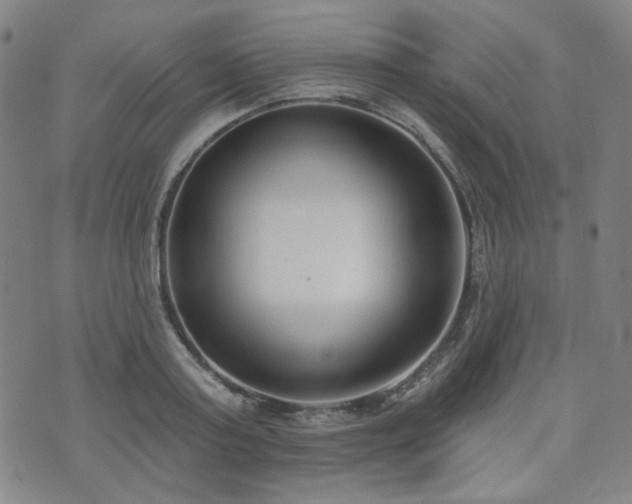 X0000072490795200607141103