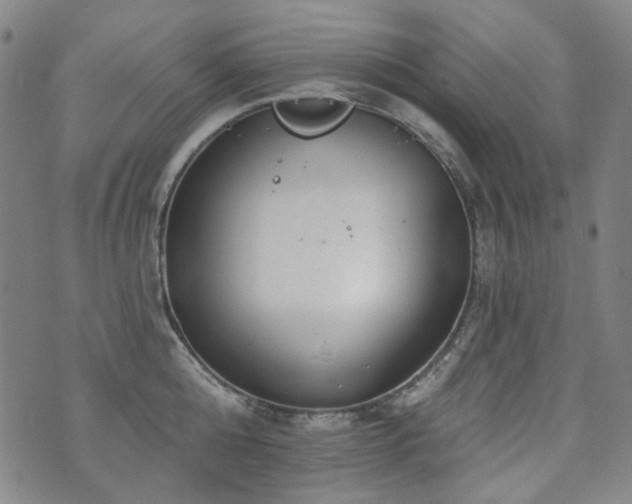 X0000072490808200607141103