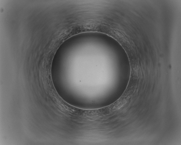 X0000072490817200607141102