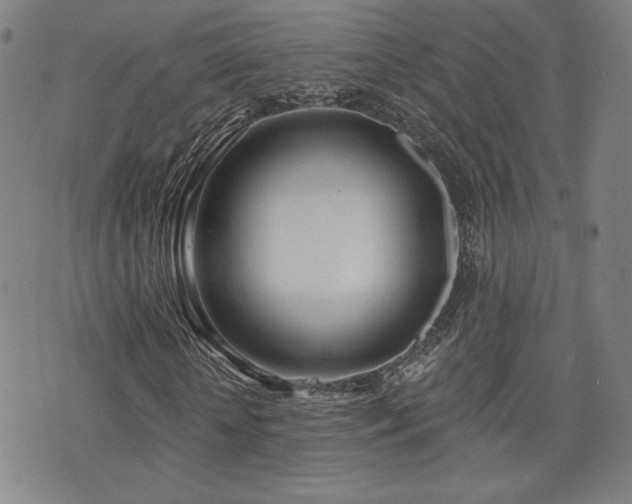 X0000072490818200607141102
