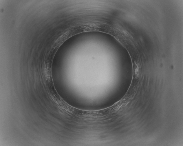 X0000072490819200607141102