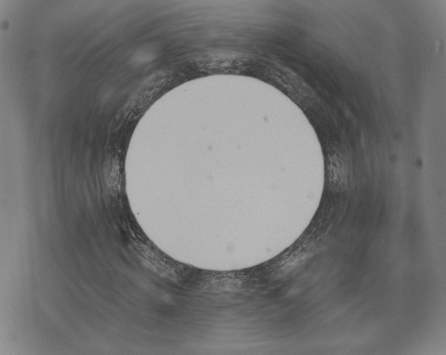 X0000072490820200607141102