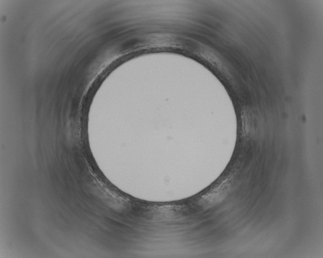 X0000072490828200607141102